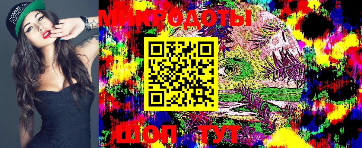 Псилоцибиновые грибы Psilocybine cubensis Светлоград