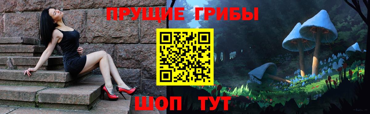 Светлоград  Псилоцибиновые грибы GOLDEN TEACHER  Псилоцибиновые грибы прущие грибы  Вход с VPN 